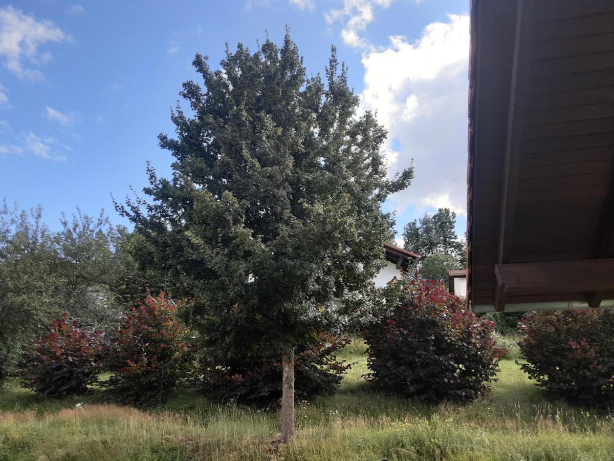Ferienhaus Niesky Dış mekan fotoğraf