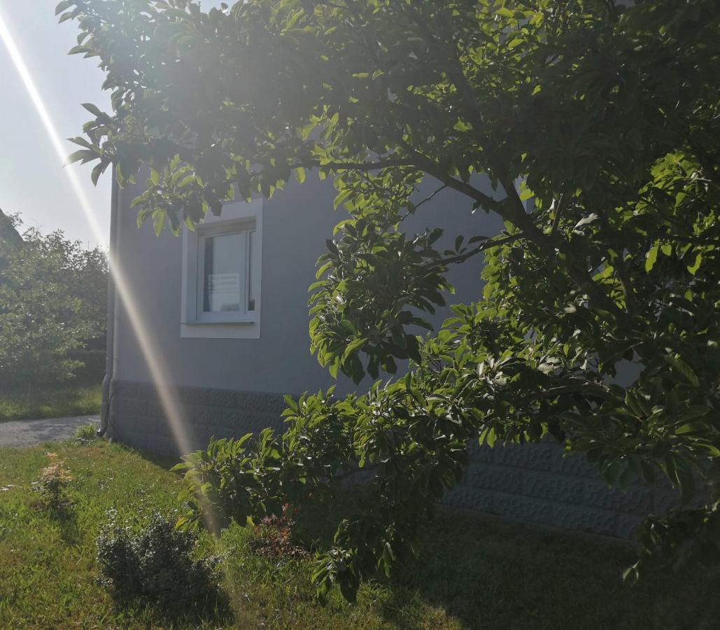 Ferienhaus Niesky Dış mekan fotoğraf